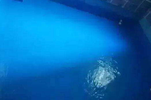 剛性防水怎么做,剛性防水材料常用有哪些？